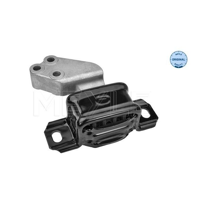 Variklio montavimas MEYLE 014 024 1071