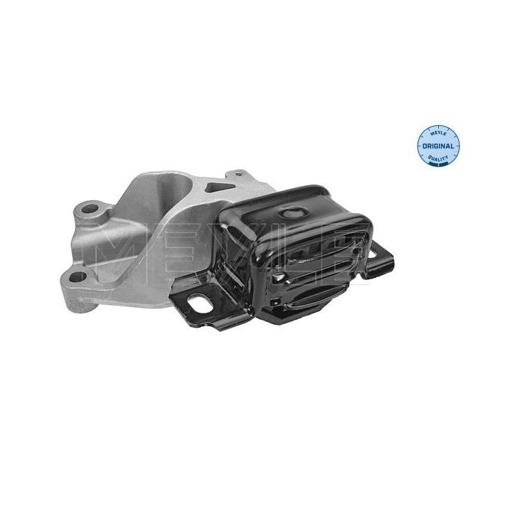 Variklio montavimas MEYLE 014 024 1072