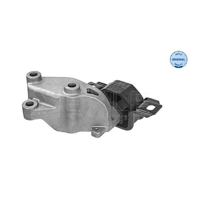 Variklio montavimas MEYLE 014 024 1072