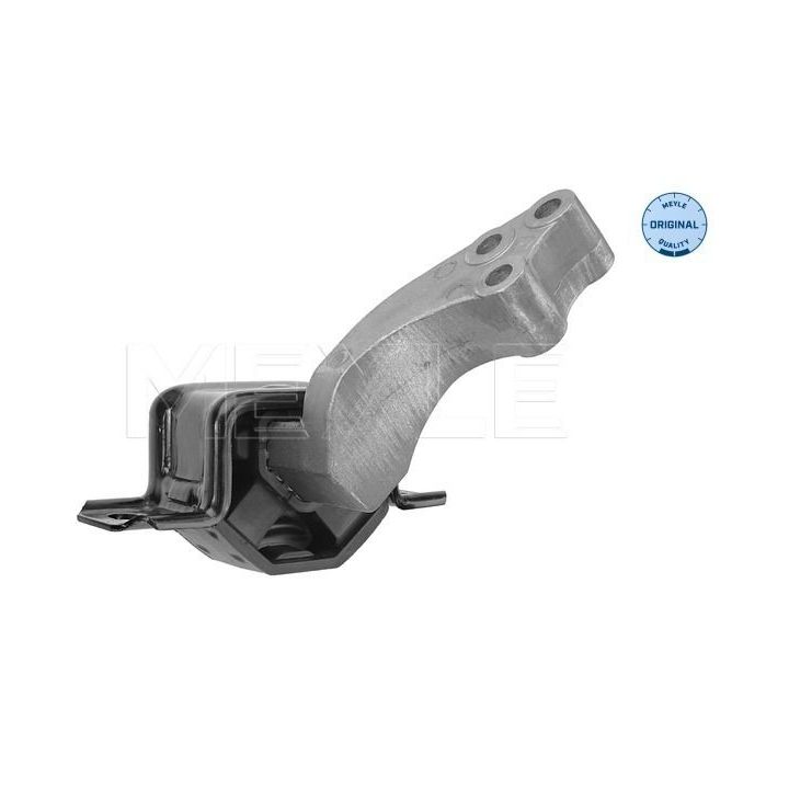 Variklio montavimas MEYLE 014 024 1073