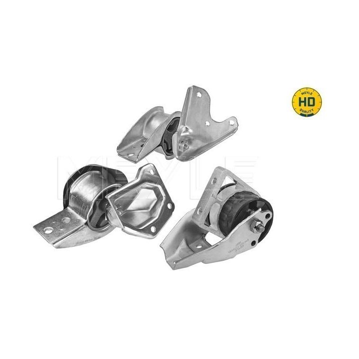 Variklio montavimas MEYLE 014 024 1175/HD