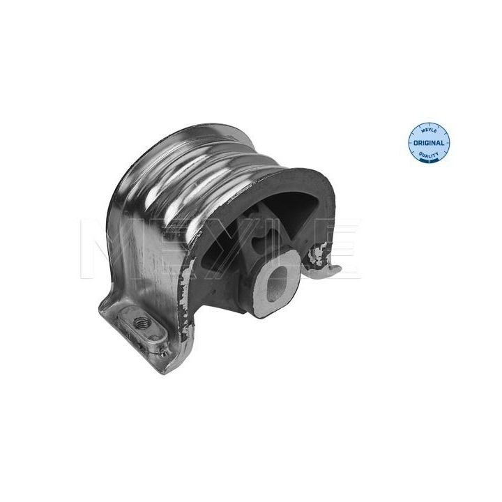 Variklio montavimas MEYLE 100 199 0145