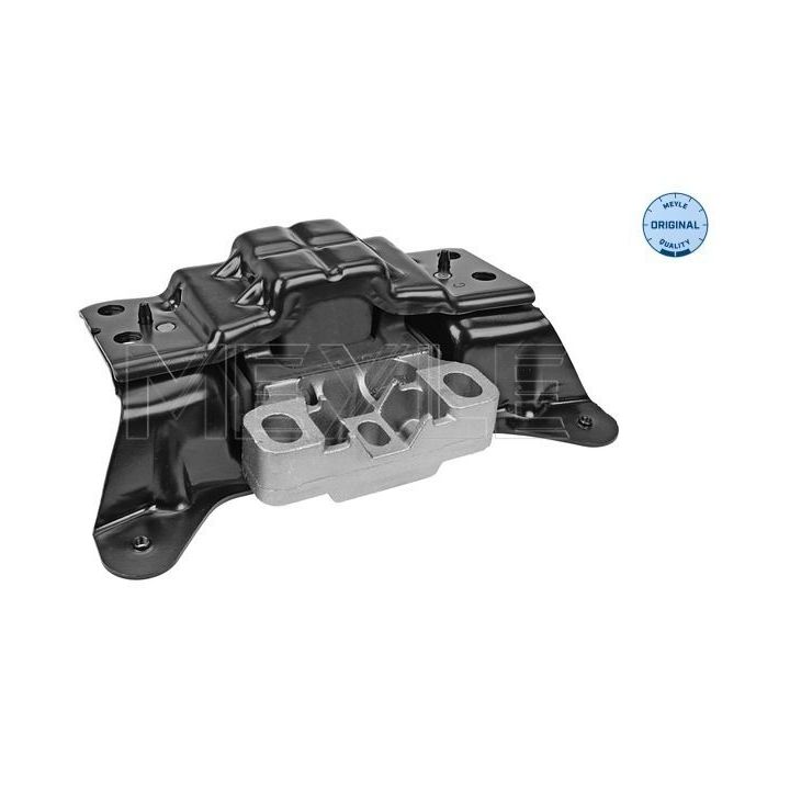 Variklio montavimas MEYLE 100 199 0205