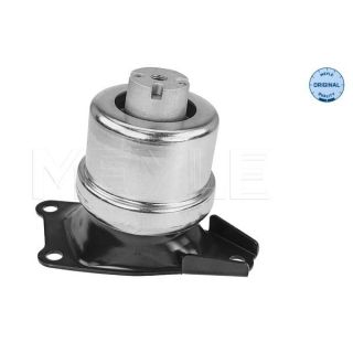 Variklio montavimas MEYLE 100 199 0214