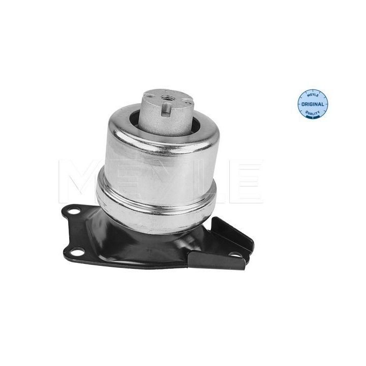Variklio montavimas MEYLE 100 199 0214