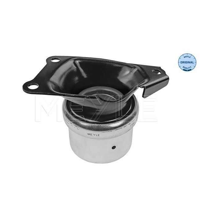 Variklio montavimas MEYLE 100 199 0214
