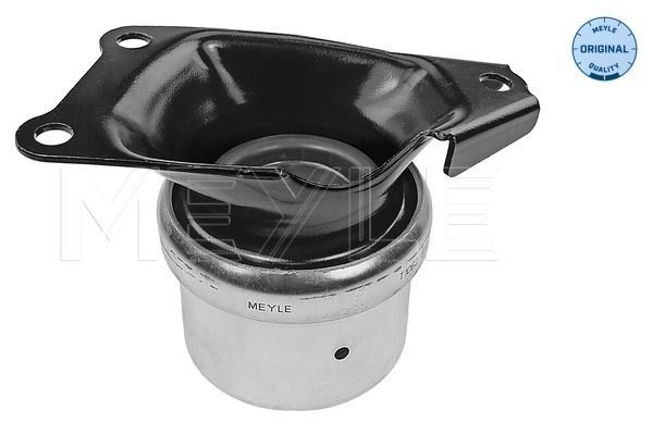 Variklio montavimas MEYLE 100 199 0214