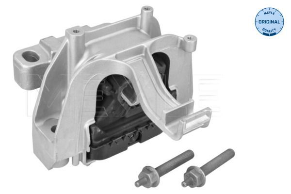 Variklio montavimas MEYLE 100 199 0284