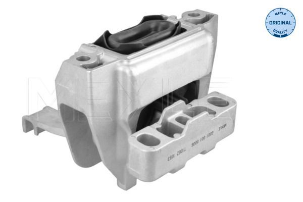 Variklio montavimas MEYLE 100 199 0284