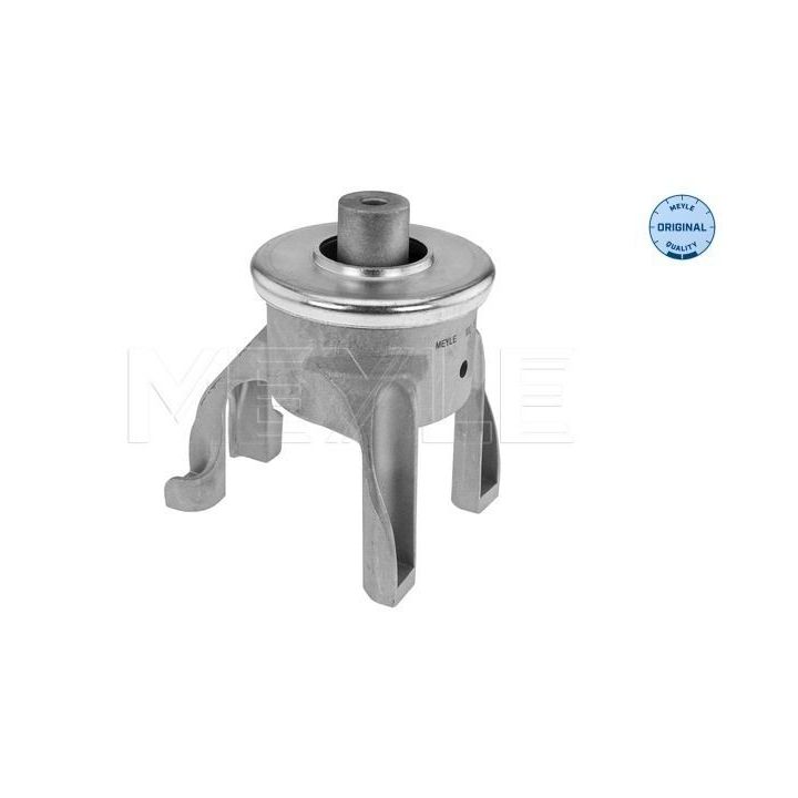 Variklio montavimas MEYLE 100 199 0324