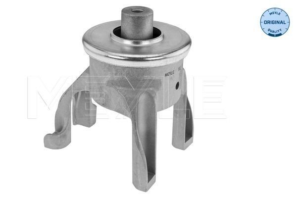 Variklio montavimas MEYLE 100 199 0324