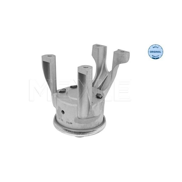 Variklio montavimas MEYLE 100 199 0324