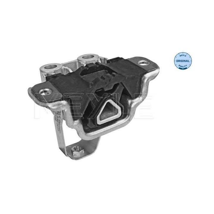 Variklio montavimas MEYLE 11-14 030 0015