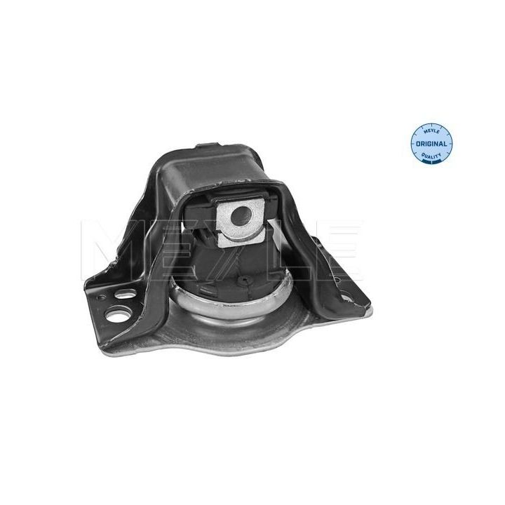 Variklio montavimas MEYLE 16-14 030 0012