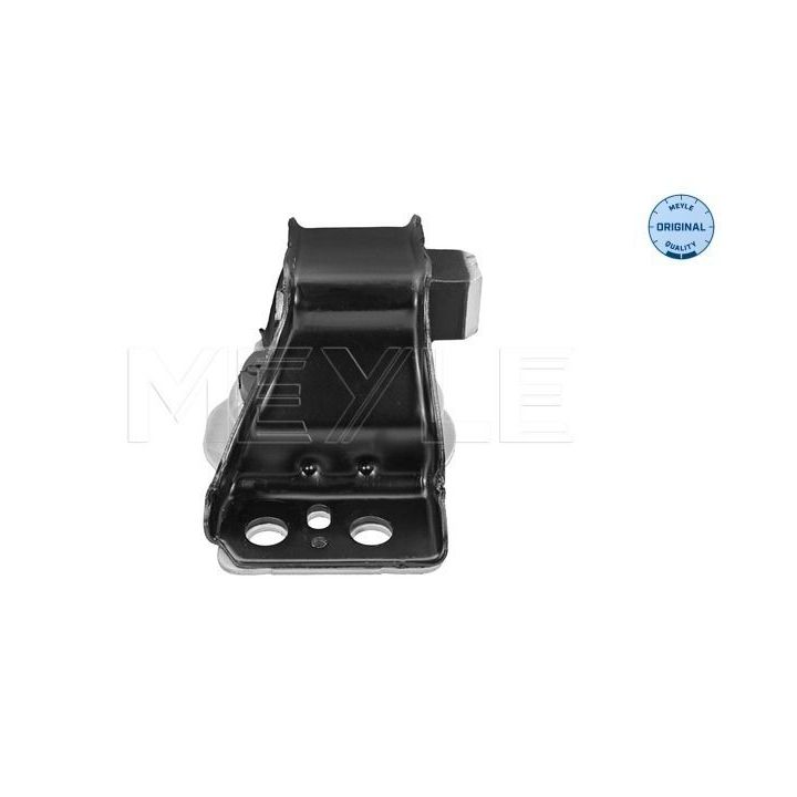 Variklio montavimas MEYLE 16-14 030 0012