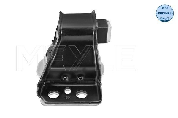 Variklio montavimas MEYLE 16-14 030 0012