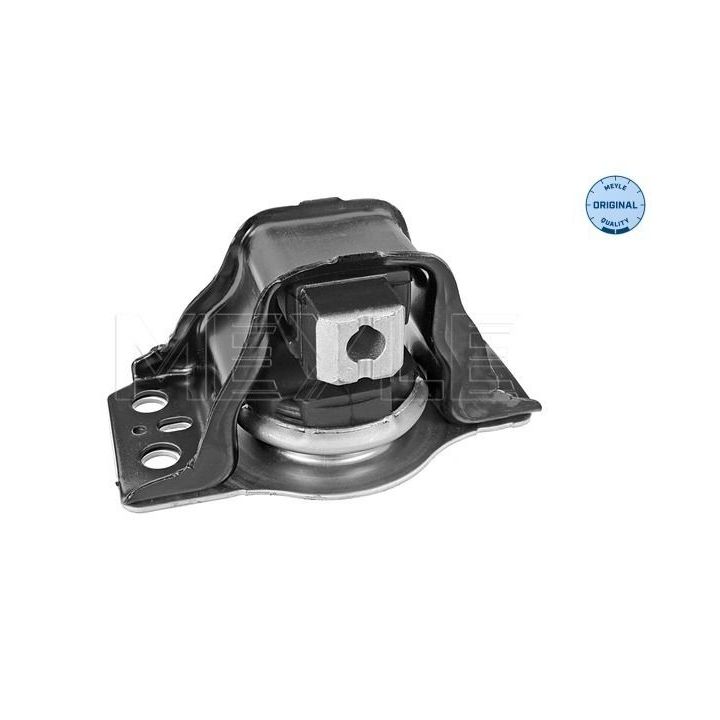 Variklio montavimas MEYLE 16-14 030 0012