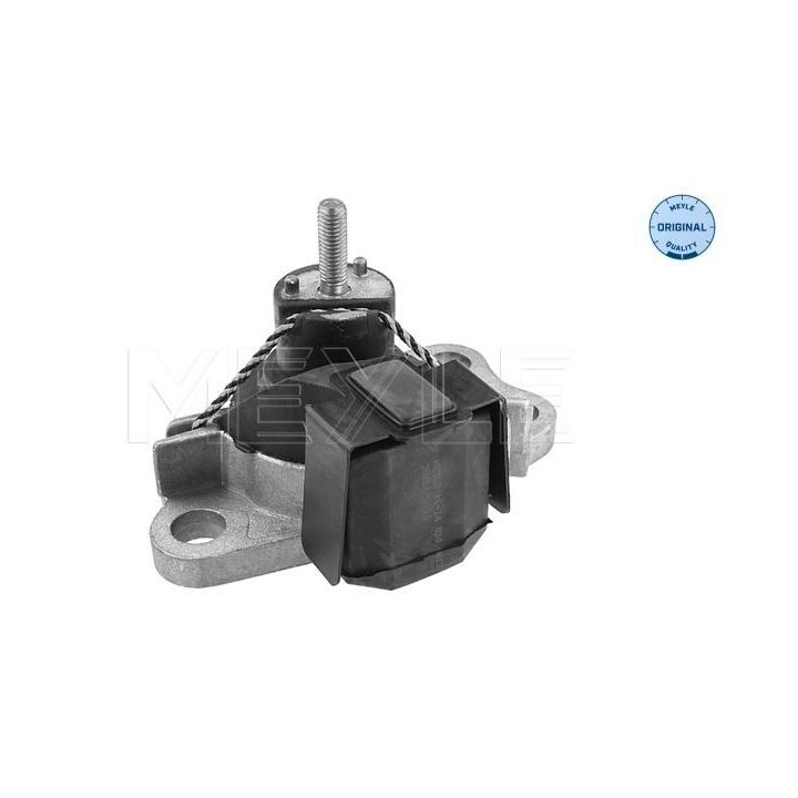 Variklio montavimas MEYLE 16-14 030 0017