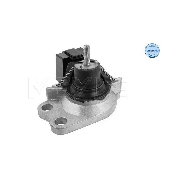 Variklio montavimas MEYLE 16-14 030 0017