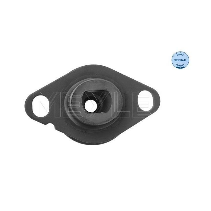 Variklio montavimas MEYLE 16-14 030 0019