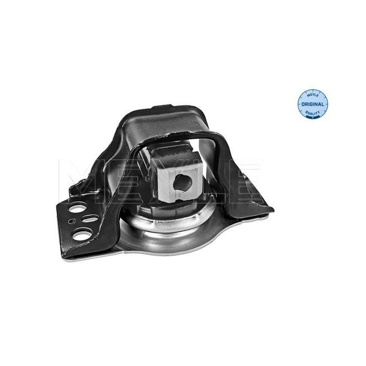 Variklio montavimas MEYLE 16-14 030 0021