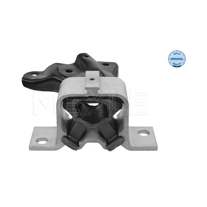 Variklio montavimas MEYLE 16-14 030 0025