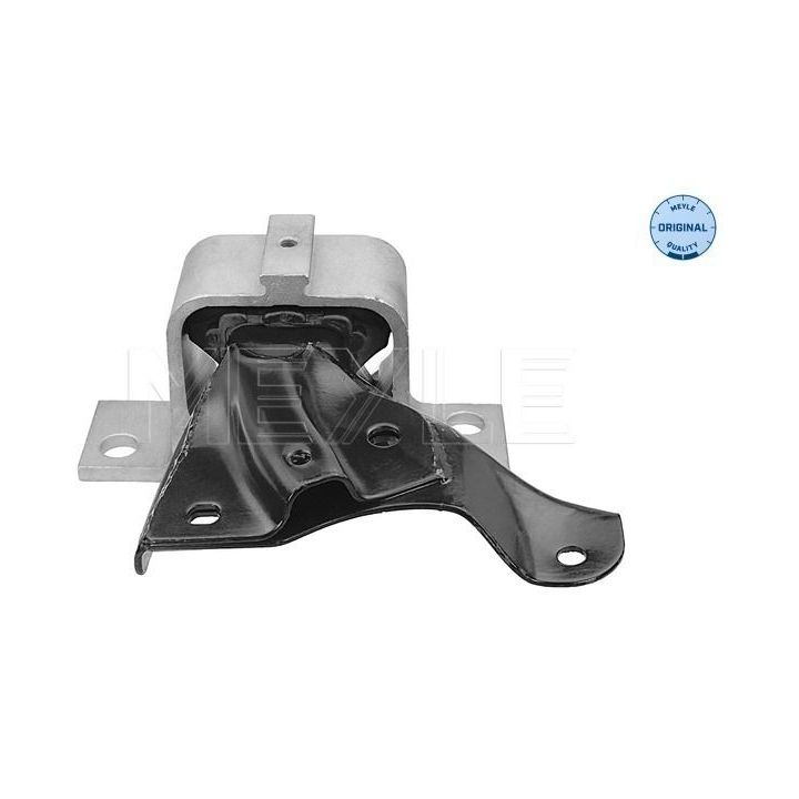 Variklio montavimas MEYLE 16-14 030 0025