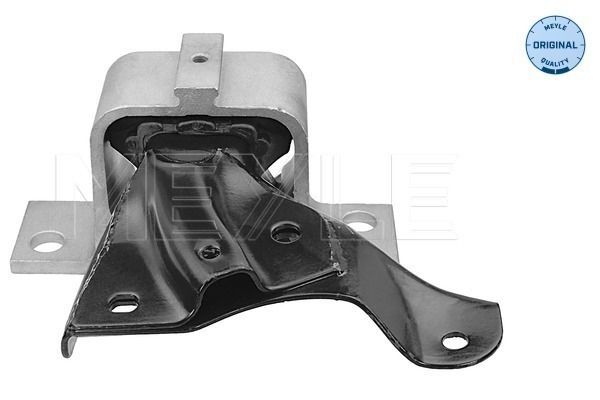 Variklio montavimas MEYLE 16-14 030 0025