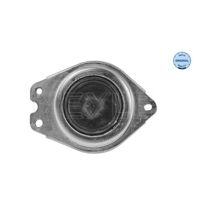 Variklio montavimas MEYLE 16-14 030 0027