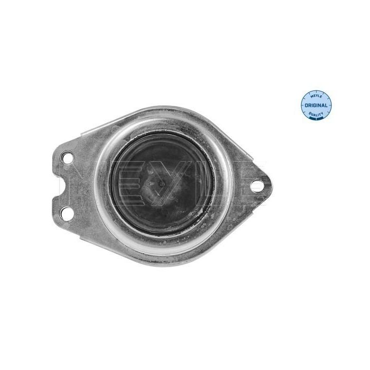 Variklio montavimas MEYLE 16-14 030 0028