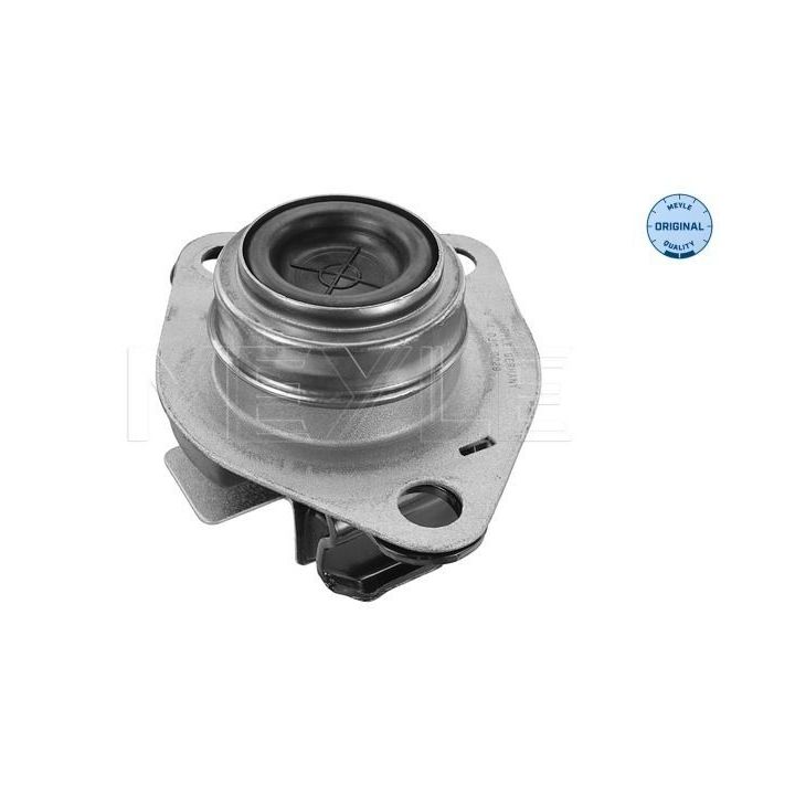 Variklio montavimas MEYLE 16-14 030 0029