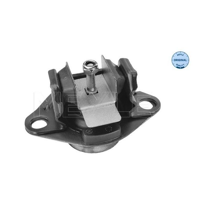 Variklio montavimas MEYLE 16-14 030 0029