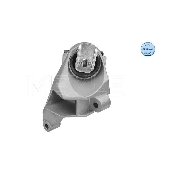 Variklio montavimas MEYLE 16-14 030 0036