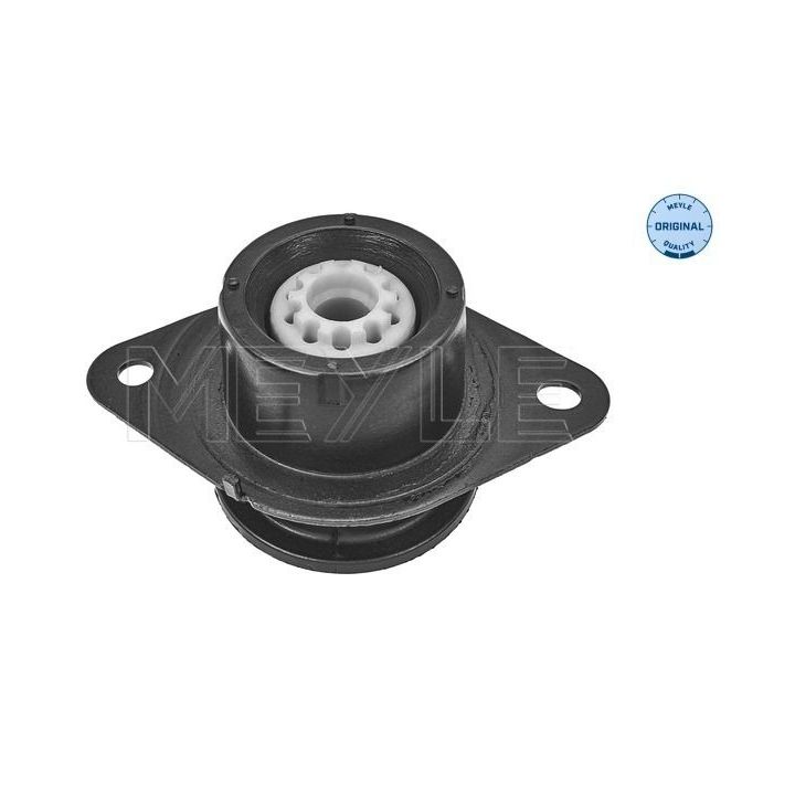 Variklio montavimas MEYLE 16-14 030 0061