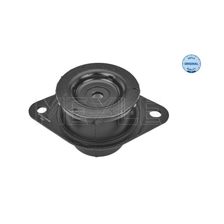 Variklio montavimas MEYLE 16-14 030 0061