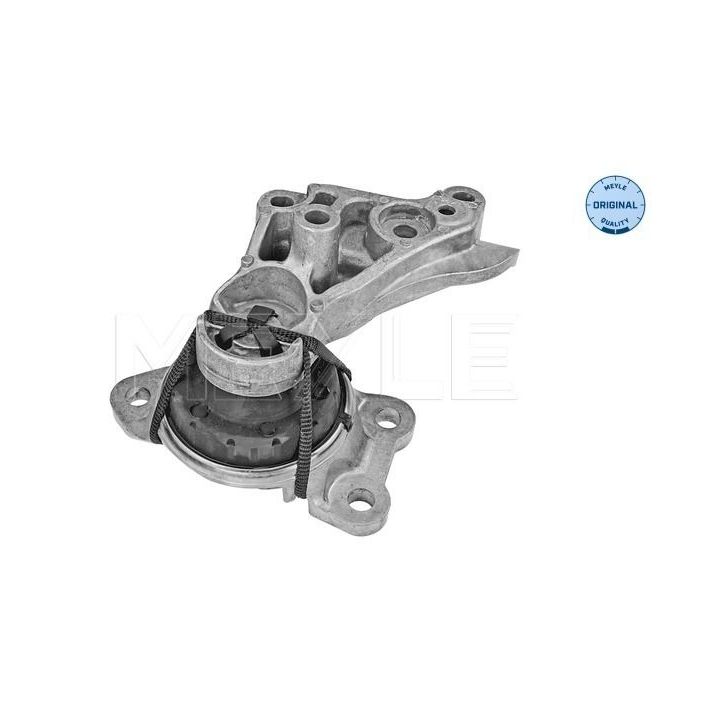 Variklio montavimas MEYLE 16-14 030 0073