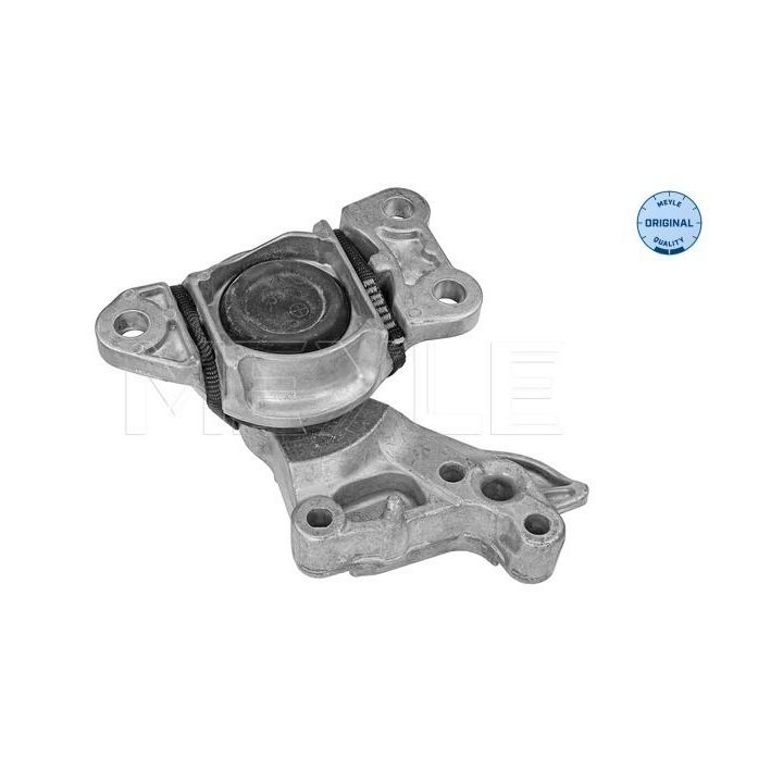 Variklio montavimas MEYLE 16-14 030 0073