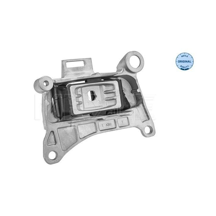 Variklio montavimas MEYLE 16-14 030 0079