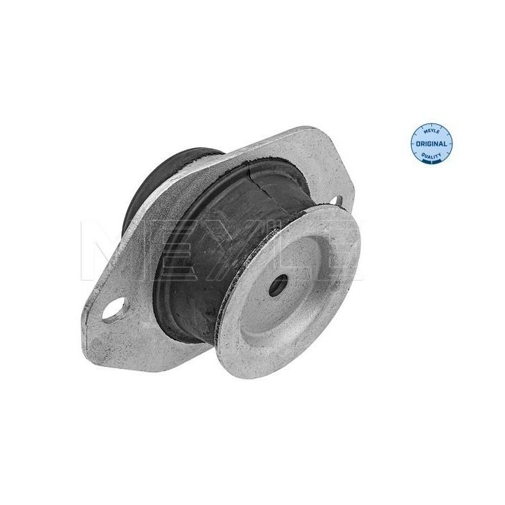 Variklio montavimas MEYLE 16-14 030 0080