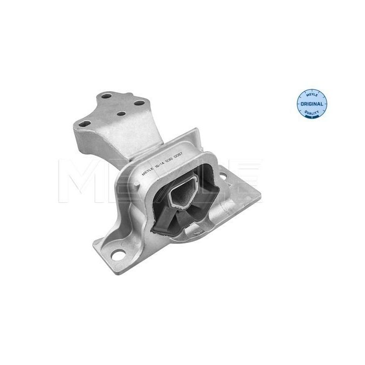 Variklio montavimas MEYLE 16-14 030 0087