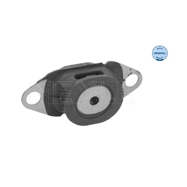 Variklio montavimas MEYLE 16-14 030 0098