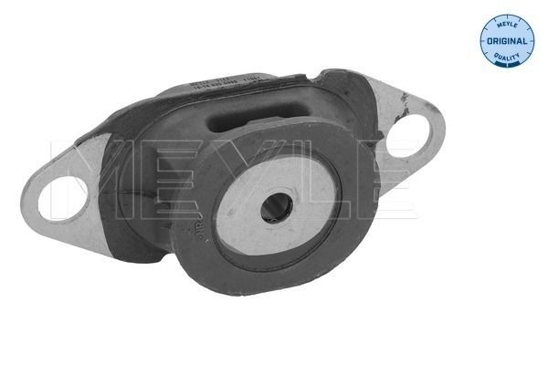 Variklio montavimas MEYLE 16-14 030 0098