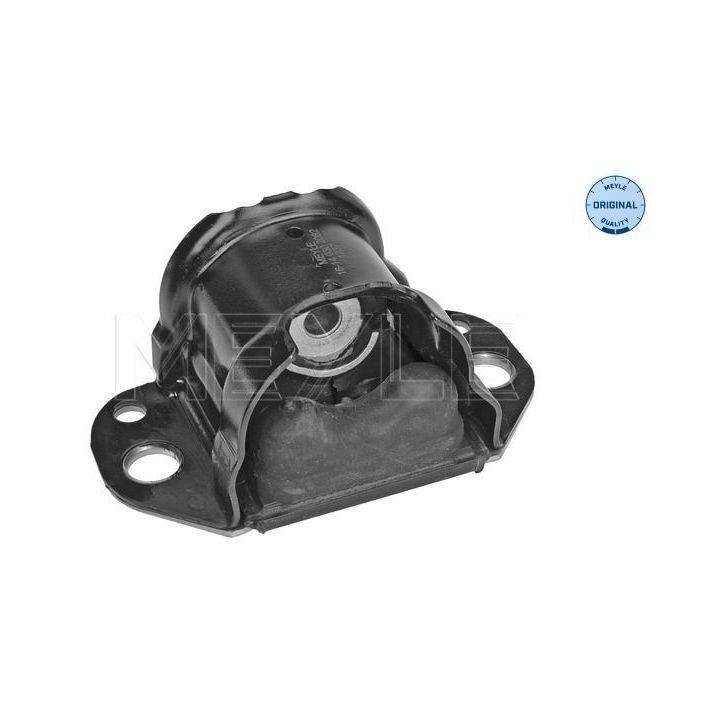 Variklio montavimas MEYLE 16-14 030 2082