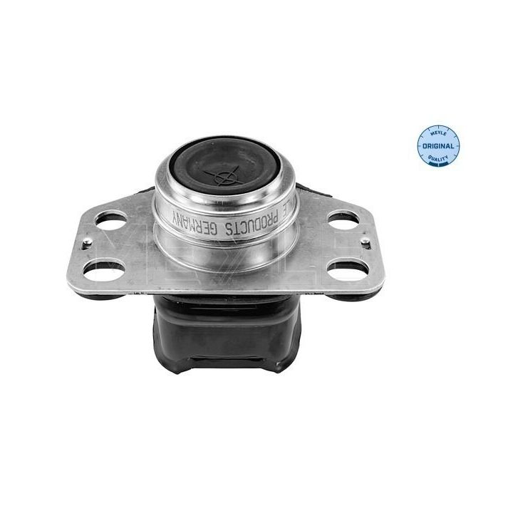 Variklio montavimas MEYLE 16-14 043 4370