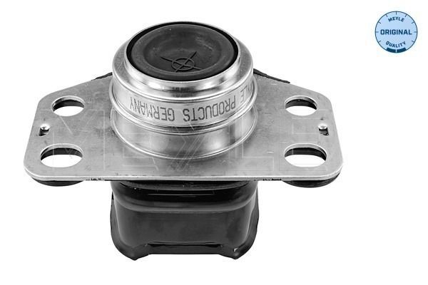 Variklio montavimas MEYLE 16-14 043 4370