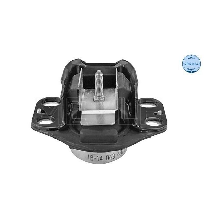 Variklio montavimas MEYLE 16-14 043 4370