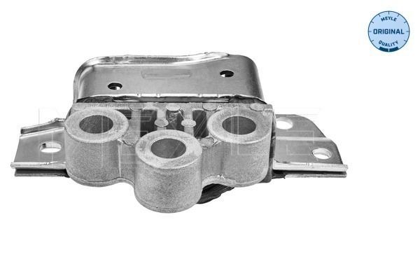 Variklio montavimas MEYLE 214 030 0009