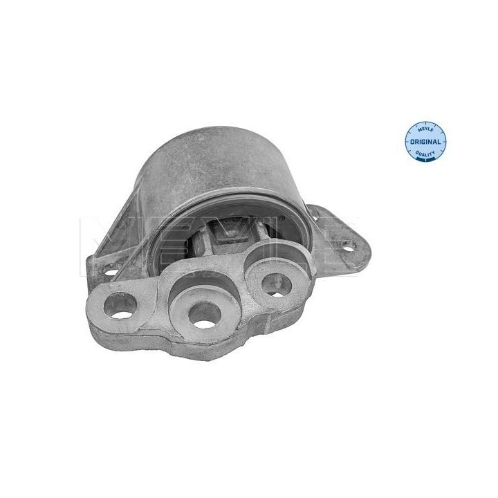 Variklio montavimas MEYLE 214 030 0011