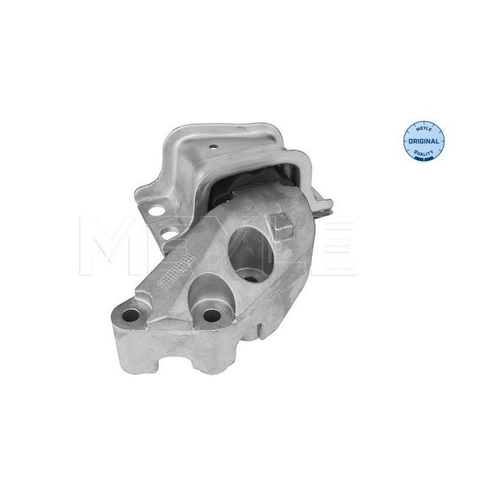 Variklio montavimas MEYLE 214 030 0029