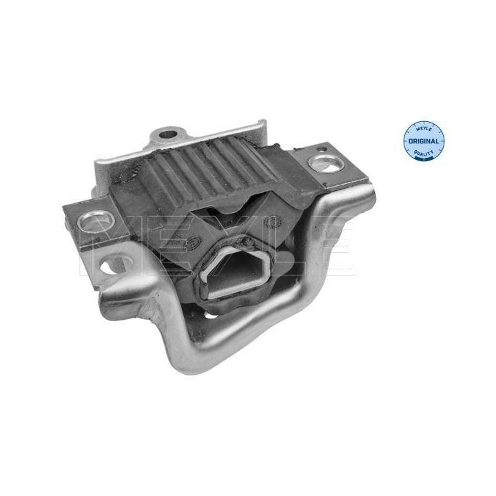 Variklio montavimas MEYLE 214 030 0031